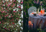 Nordic Summer Cookbook