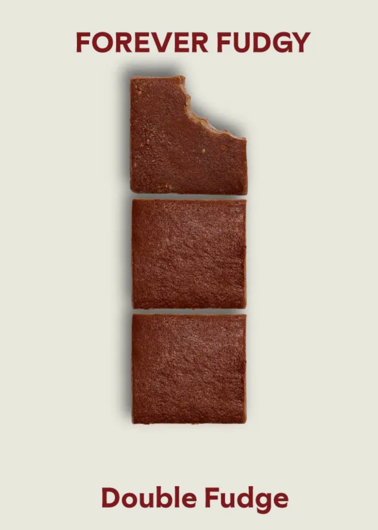 Double Fudge Brownie Batter Bites (DF + GF + Paleo)