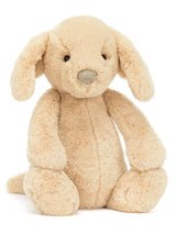 Bashful Luxe Puppy Orlando Big