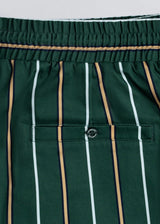 Day Shorts
