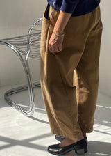 Arc Pants Regular