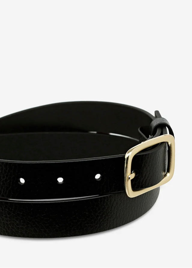 Nobody's FaultBelt