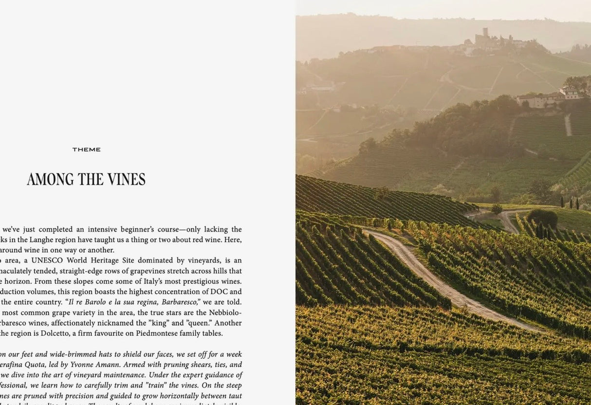 Travel Guide: Somewhere in Italy