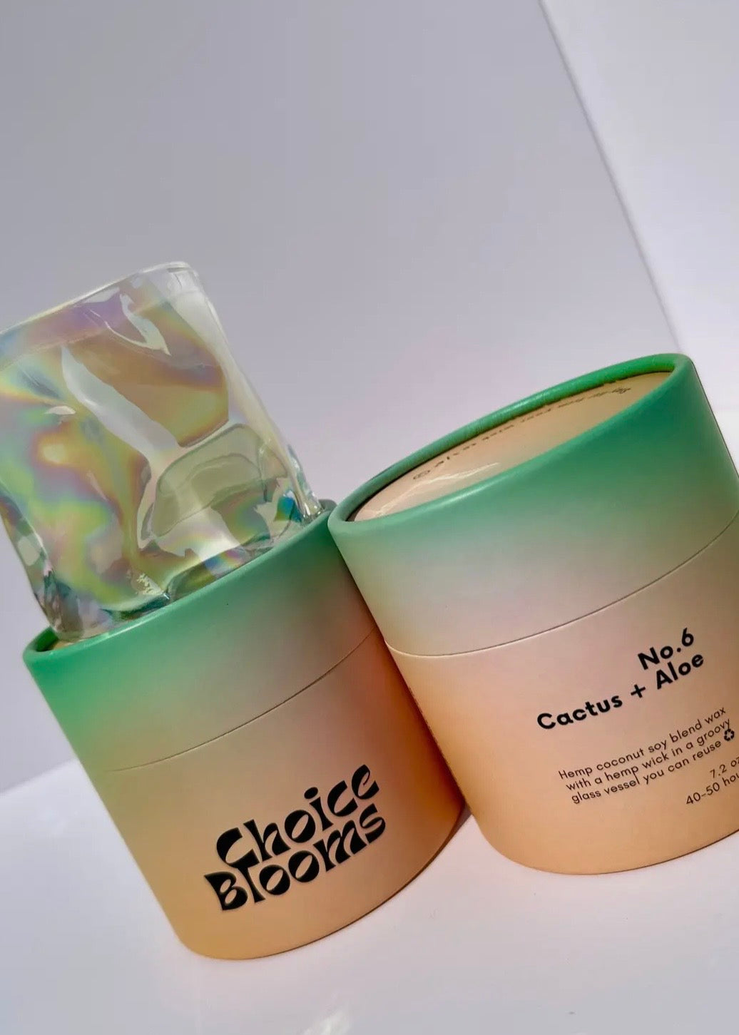 No. 6 Cactus + Aloe Candle