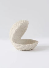 Shell Jewelry Holder