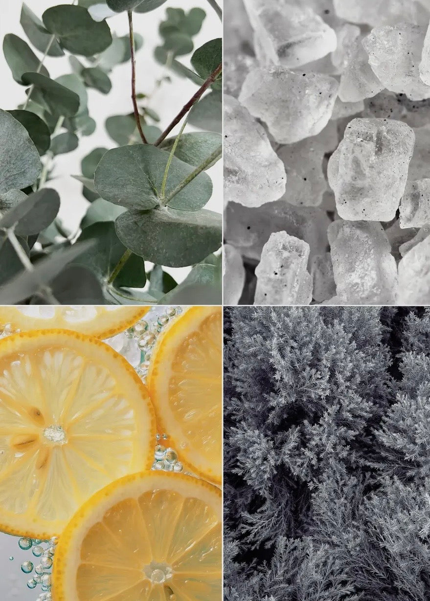 Eucalyptus Shower Steamers