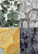 Eucalyptus Shower Steamers