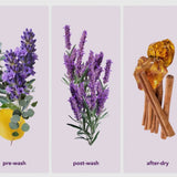 In Wash Scent Boosters Lavender Dream