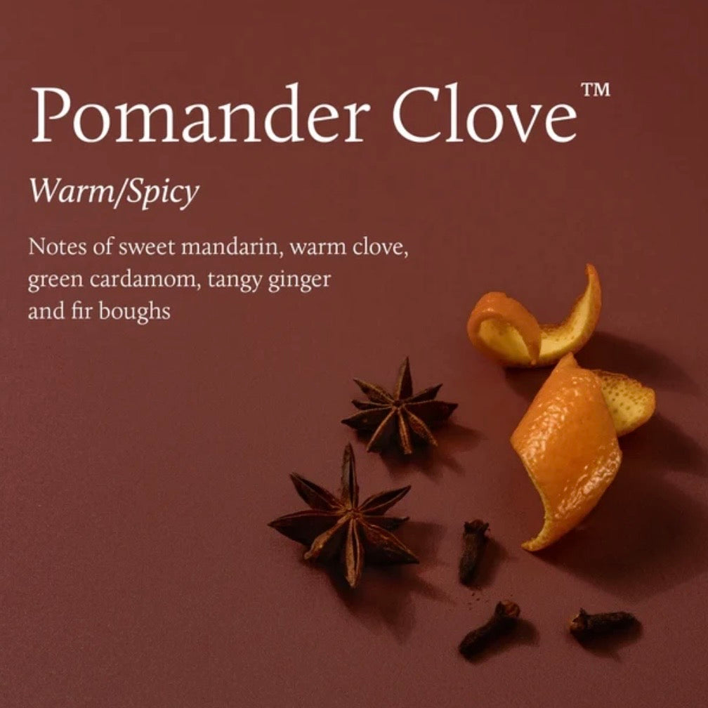 Pomander Clove Universal Tin Candle