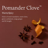 Pomander Clove Universal Tin Candle