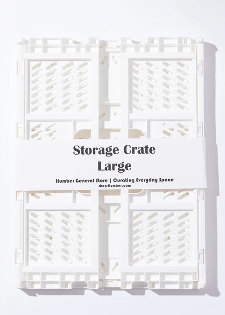 Large Color Storage Crate