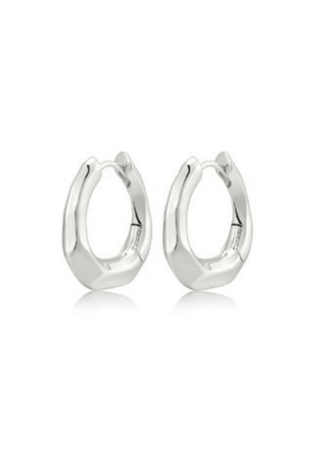 The Delphine Hoops