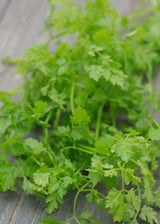 Kitchen Herbs