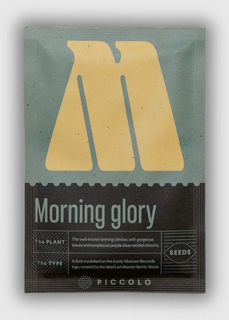 M - Morning Glory