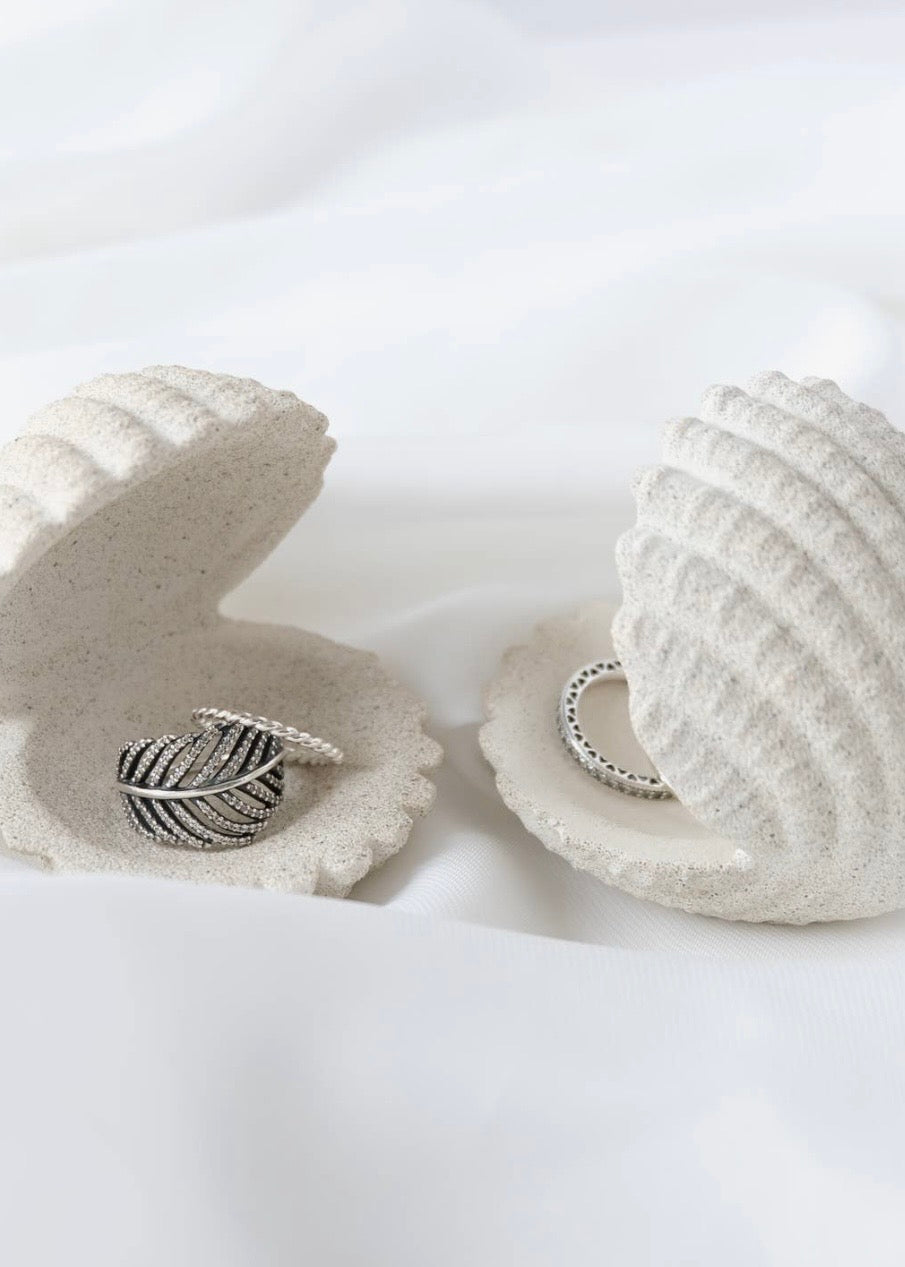 Shell Jewelry Holder