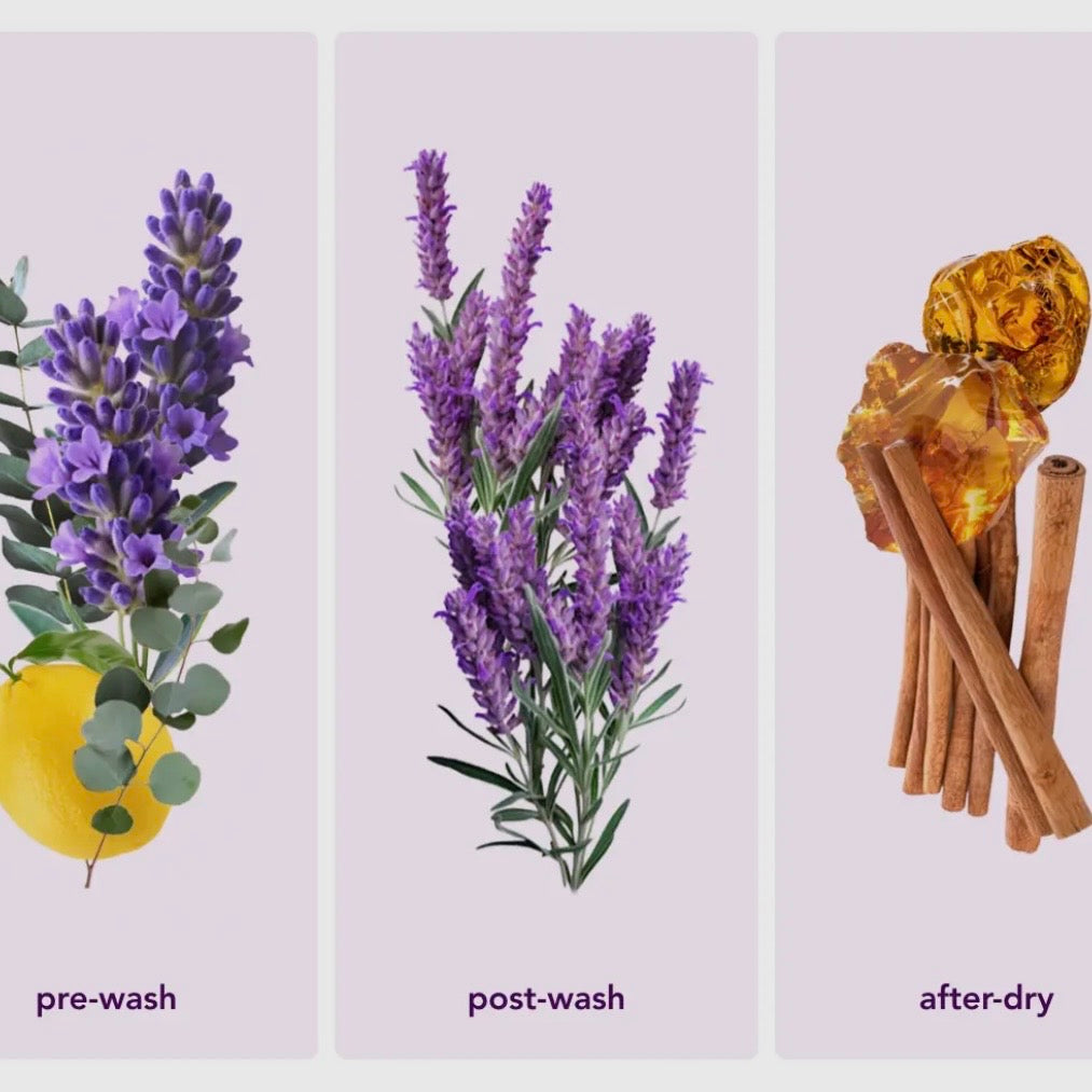 Zero Waste Laundry Detergent Sheets Lavender Dream