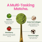 Superfood Latte Powder, Strawberry Matcha with Collagen