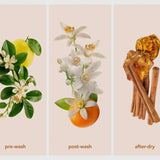 In Wash Scent Boosters Neroli Zen