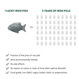 Lucky Iron Fish
