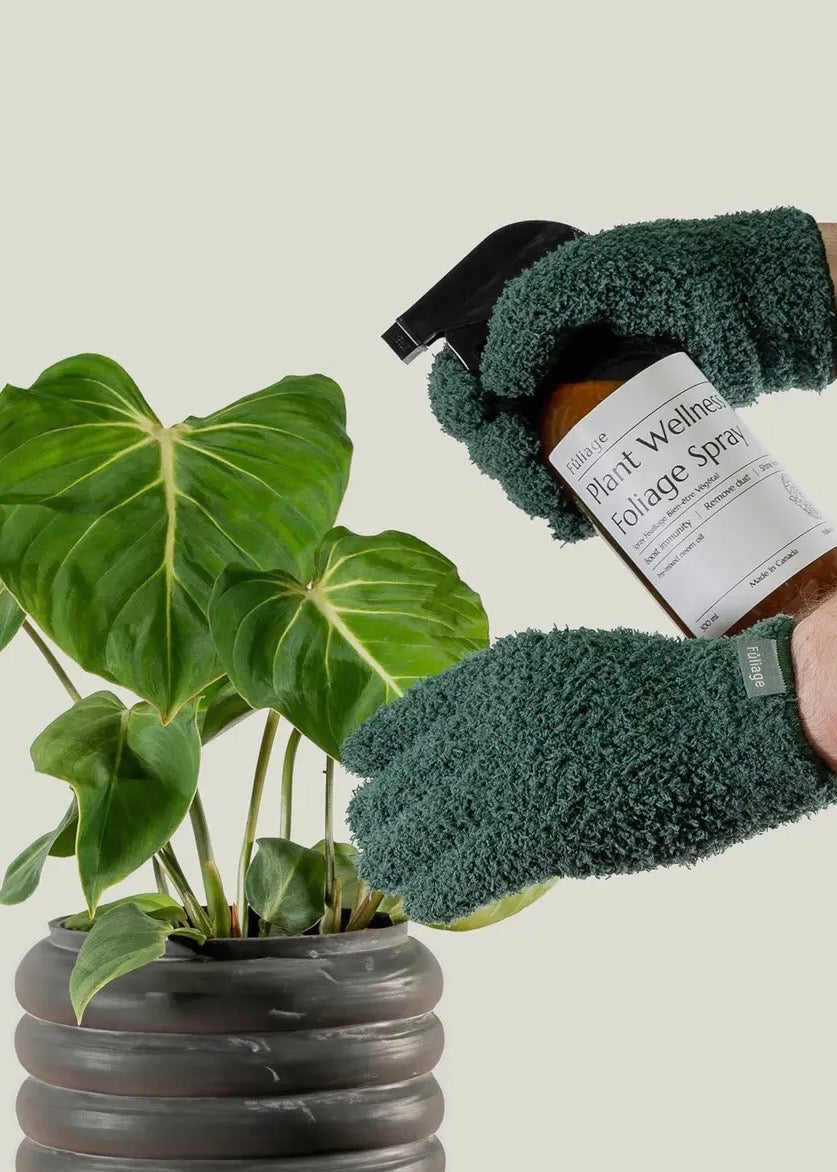 Microfiber Plant Dusting Gloves