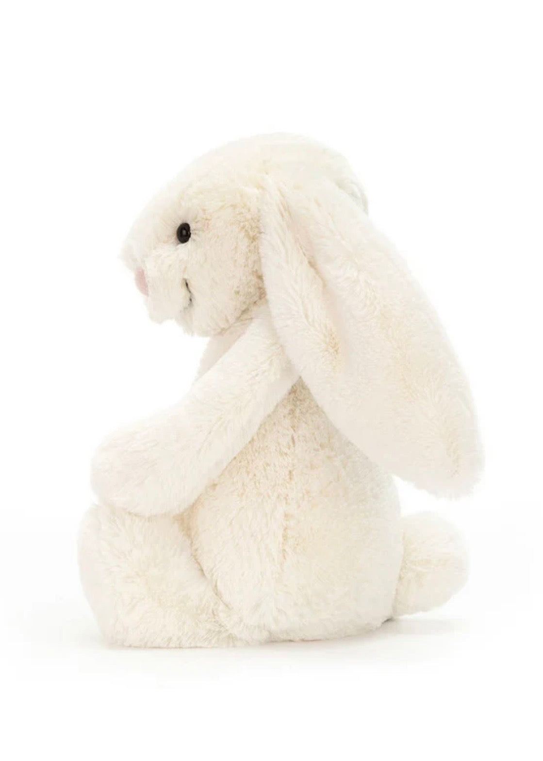 Bashful Bunny