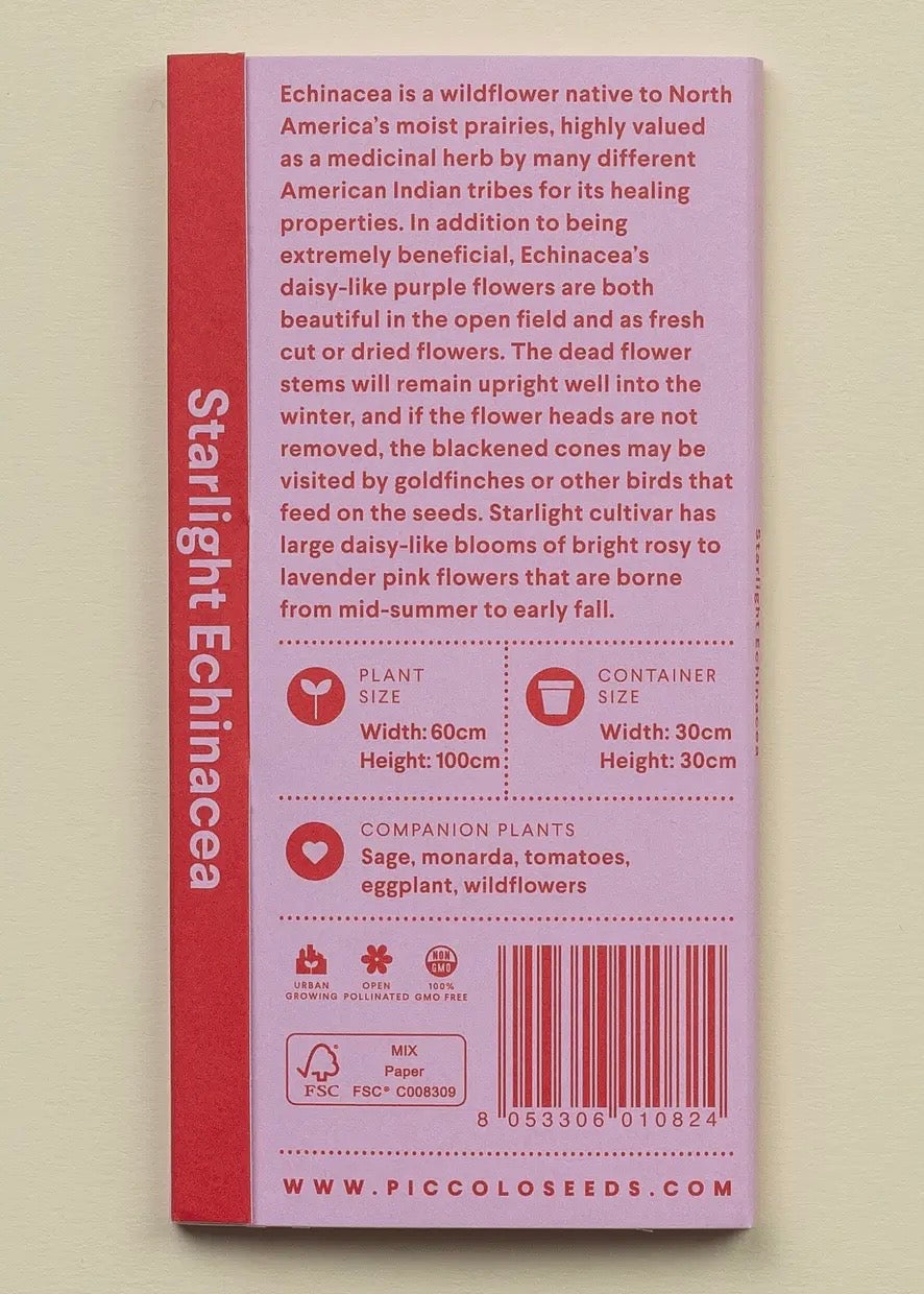Echinacea Starlight