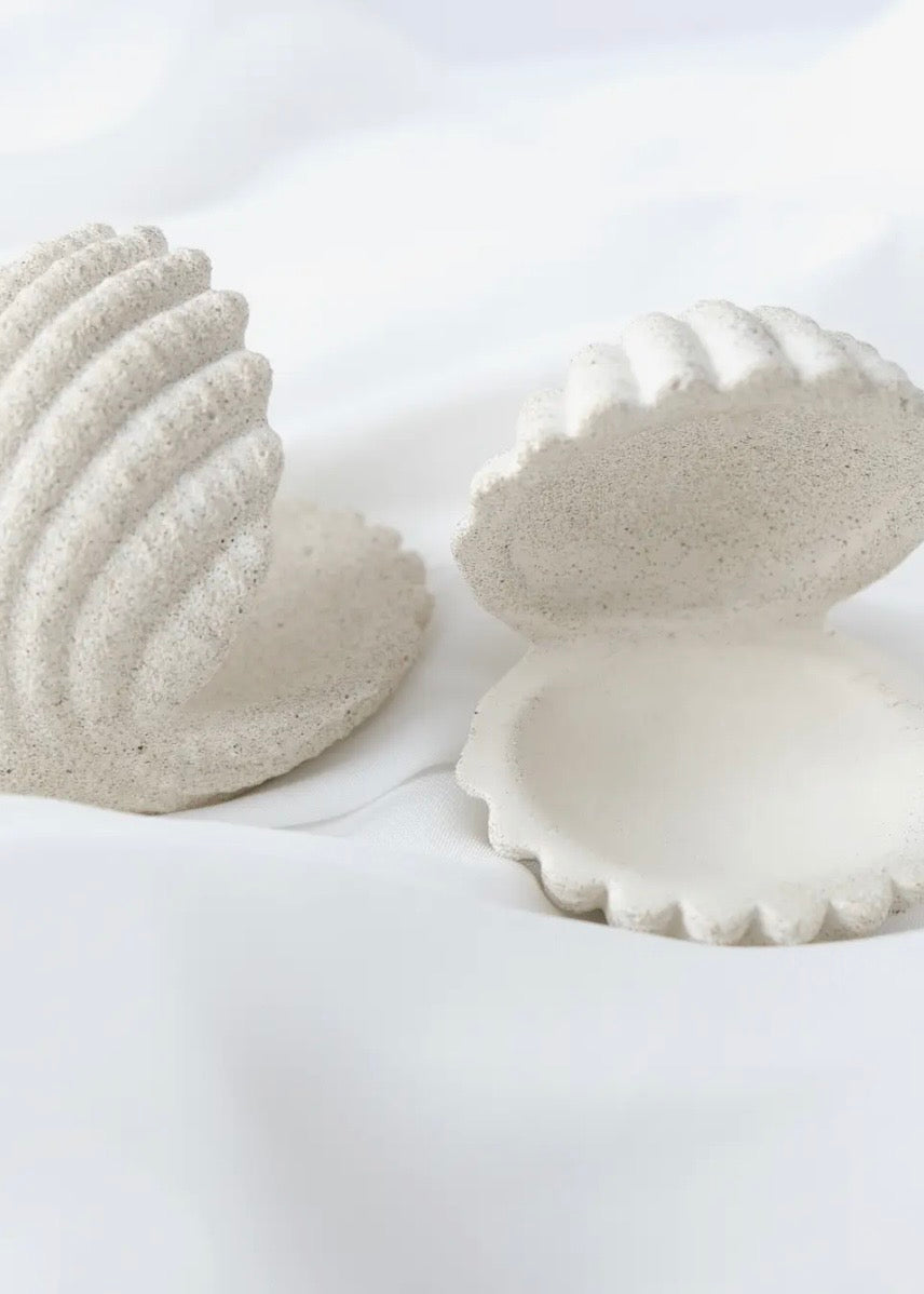 Shell Jewelry Holder