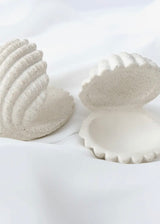 Shell Jewelry Holder