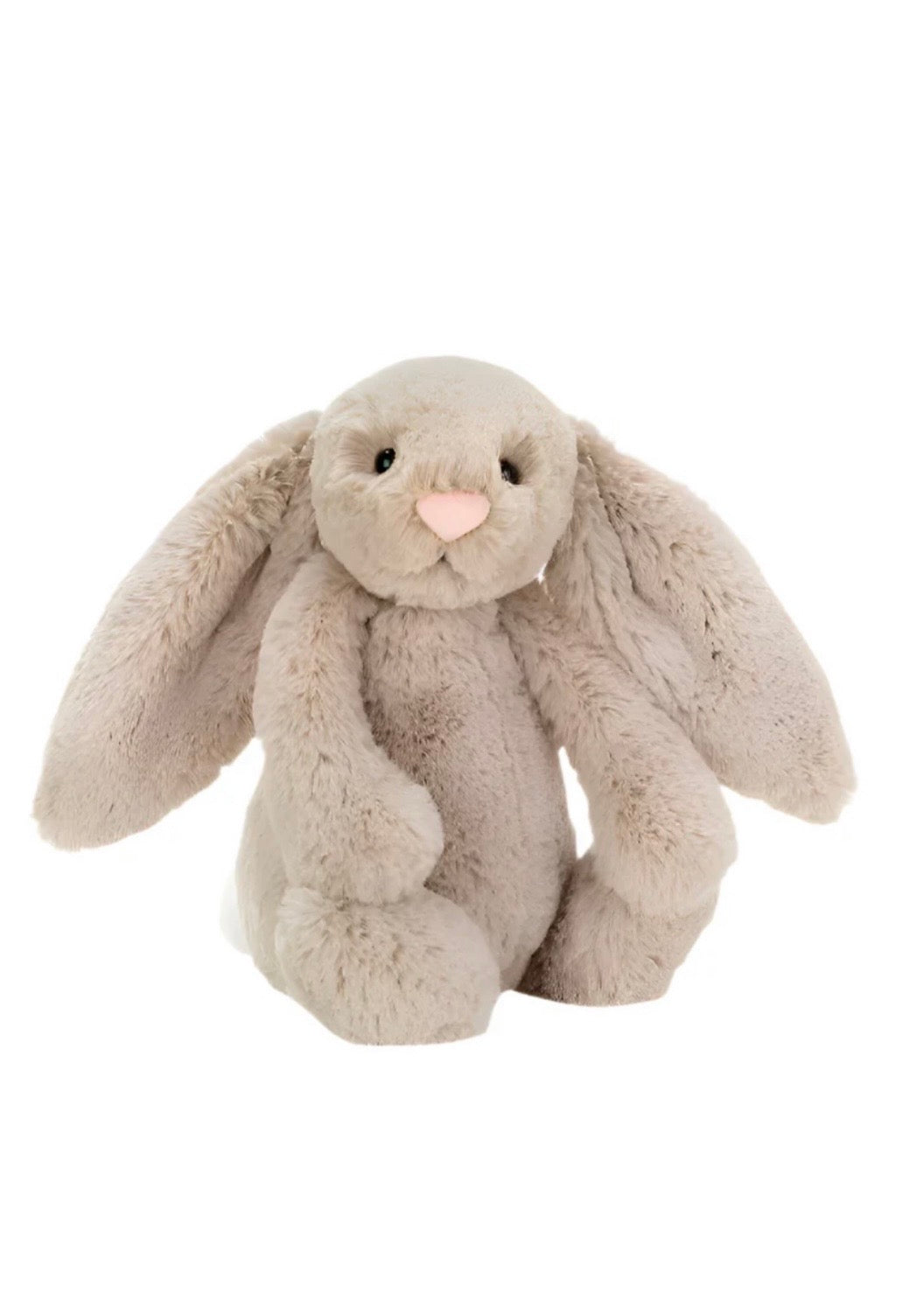 Bashful Bunny