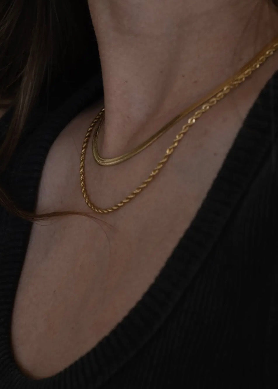 Sandra Dual Rope and Snake Chain Necklace