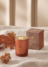 Pumpkin Laurel Votive Candle