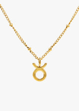 Zodiac Necklace