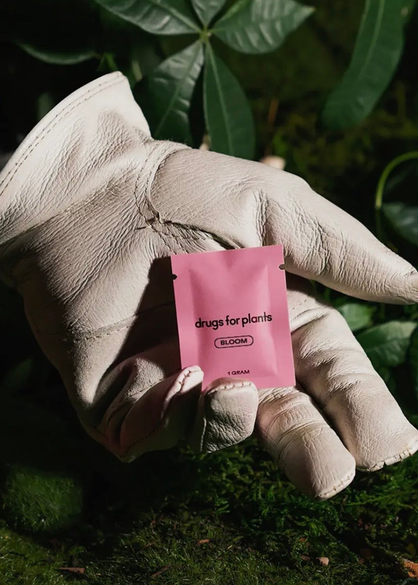 Drugs for Plants Bloom