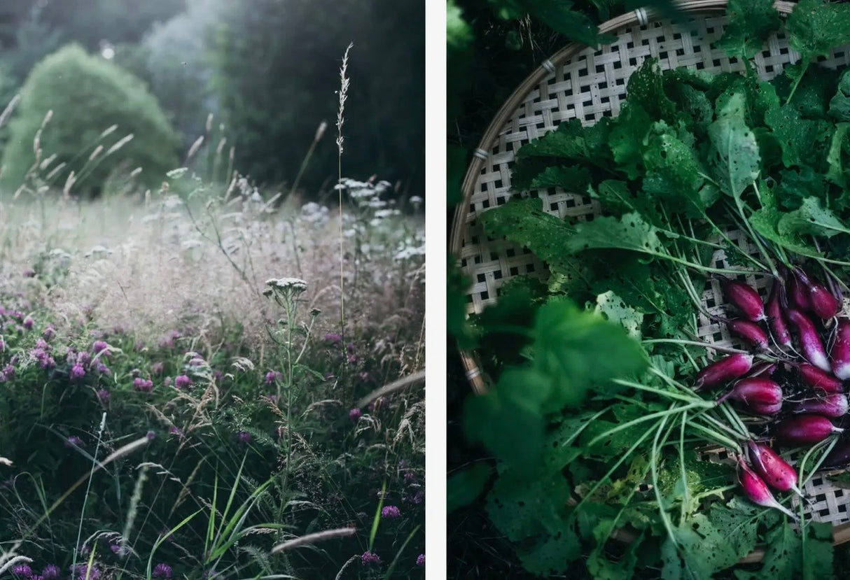 Nordic Summer Cookbook