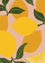 Be Zesty Paint by Numbers Kit