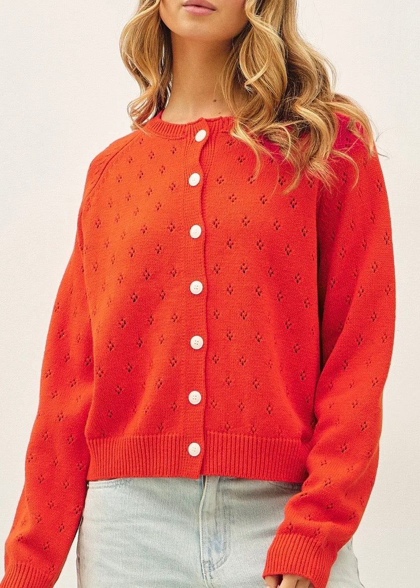Dara Pointelle Cardigan