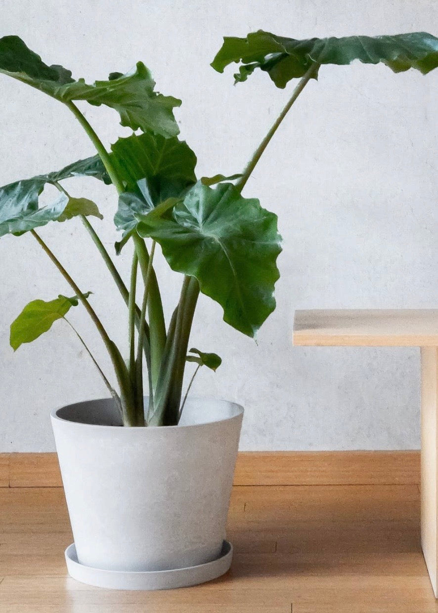 Tapered Signature Stone Planter