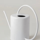 2L Stainless Steel Watering Can