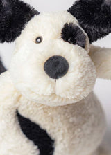 Bashful B&C 'Rufferty' Puppy