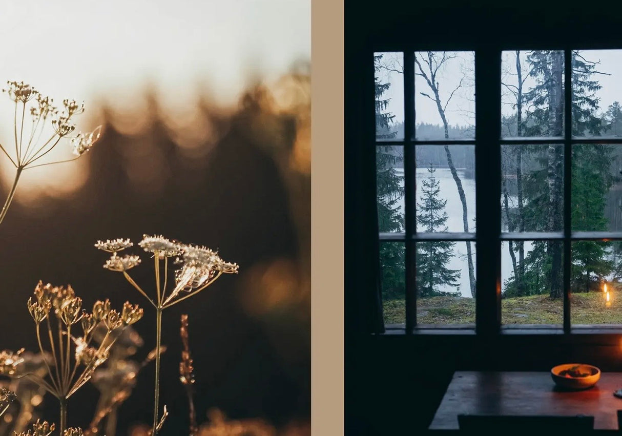 Four Seasons of Cabin Cooking