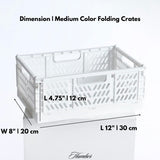 Medium Color Storage Crate