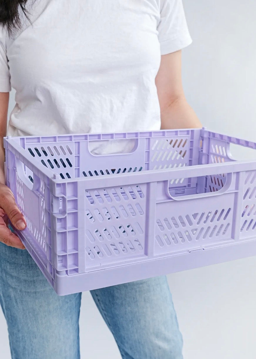 Large Color Storage Crate