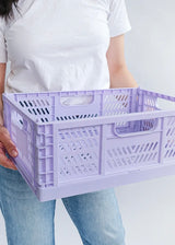 Large Color Storage Crate