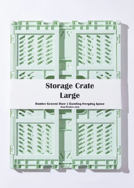 Large Color Storage Crate