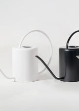 2L Stainless Steel Watering Can