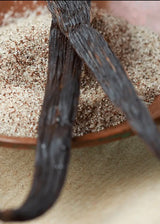 Warm Vanilla Drive Car Air Freshener Refill
