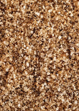 Black Garlic Ginger Salt - Infused Sea Salt