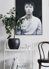 Green Home Book