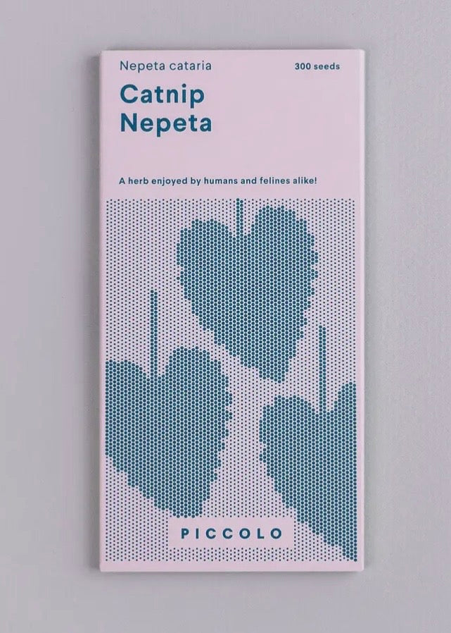 Catnip Nepeta