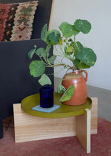 LANG | Multipurpose Plant Stand
